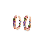 Multicolor Loop Earrings