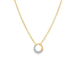 Diamond Charm Clasp Necklace