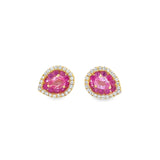 Pink Sapphire Pear Studs
