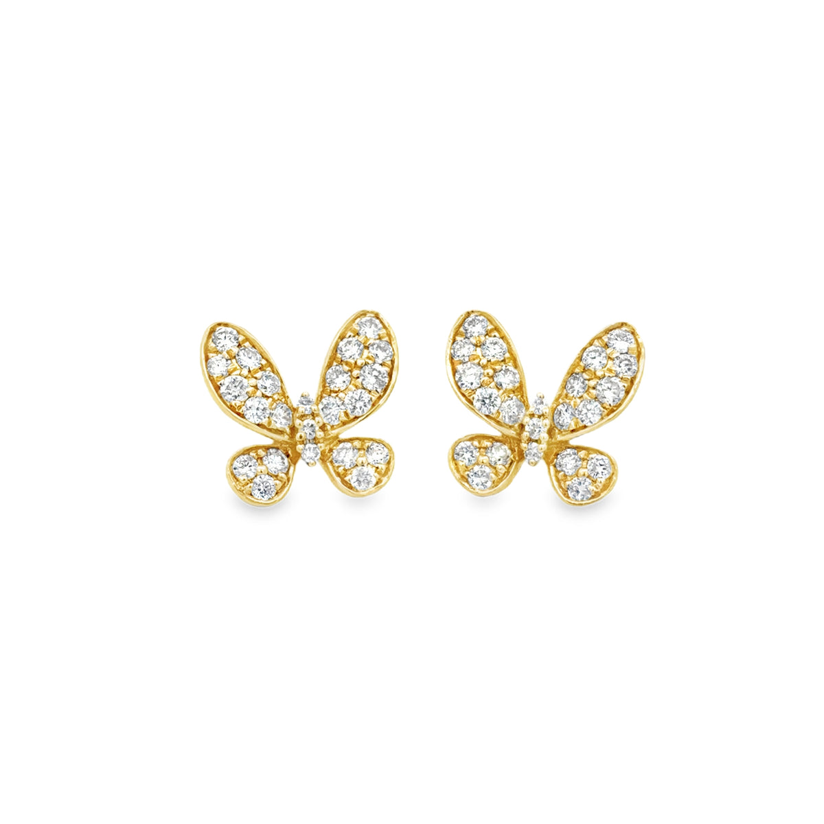 Gold Butterfly Studs