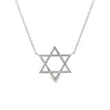 Large Dainty Star of David Necklace