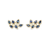 Blue Sapphire Cluster Crawlers