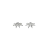 Mini Cluster Crawlers- WG