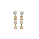 Two Tone Multi Shape Earrings